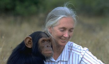 Aus den Archiven: Holtkamper Faltanhänger als mobile Tierklinik in Uganda