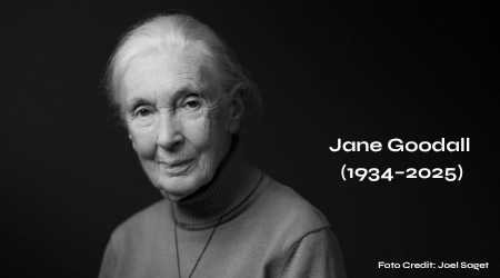 In memoriam: Jane Goodall (1934-2025)